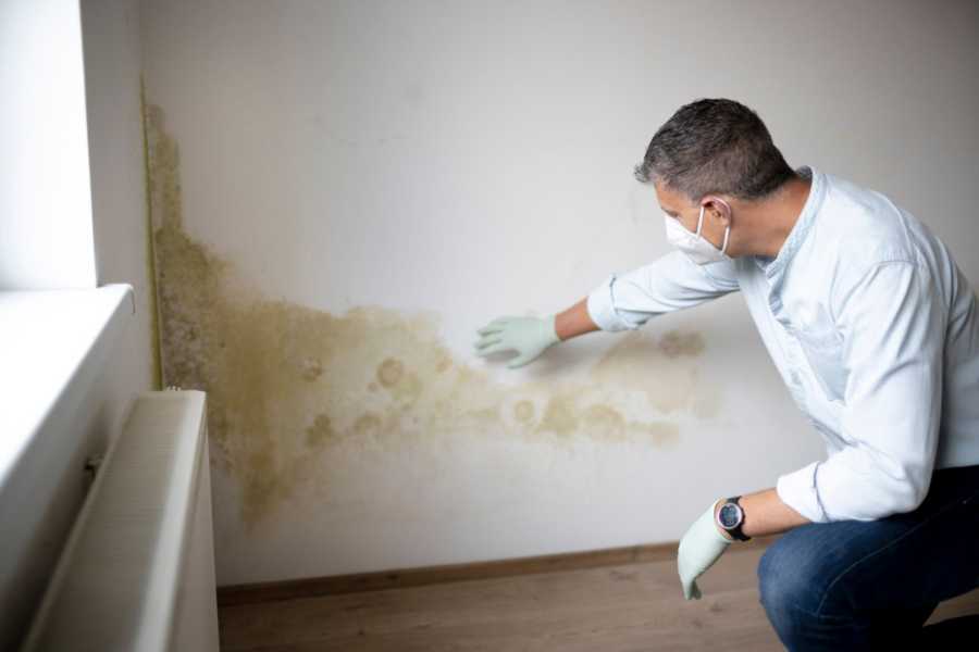 Schimmel in het appartement - wanneer kun je geen huur betalen?