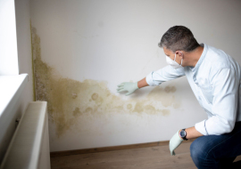 Schimmel in de woning - wanneer is huurinhouding mogelijk?