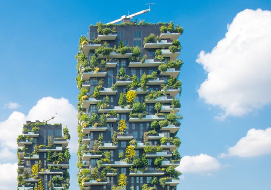 De vastgoedsector in Italië is deze zomer met 12% toegenomen door een heropleving in de bouw van nieuwe gebouwen en lagere hypotheekrentetarieven.