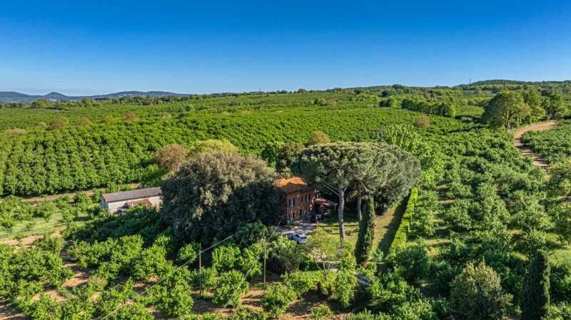 Te koop: 14 hectare perceel met hazelaar in Vetralla