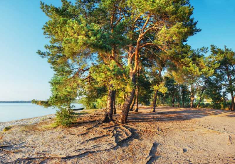 Camping aan zee in Toscane te koop