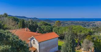 Soortgelijke villa in Livorno