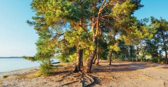 Camping aan zee in Toscane te koop