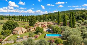 Te koop: bouwgrond met olijfbomen nabij Siena, Toscane
